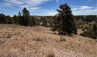 coulee view 1 1A 2 7 lot 1 1A 2 7, Billings, MT 59101