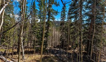 270 Co Rd 667 Lot 0, Alma, CO 80440