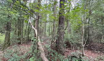 0 LA Hwy 442, Albany, LA 70711