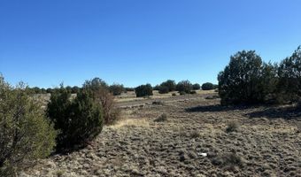 201-29 164C, Concho, AZ 85924