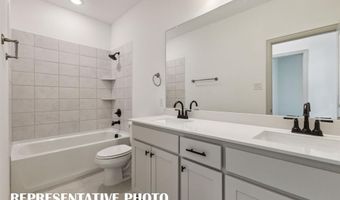 1020 Bristleleaf Way, Allen, TX 75013