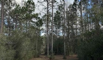51235 Phillipsville Rd, Bay Minette, AL 36507