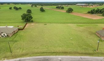 131 Brock Ln, Millsap, TX 76066