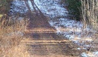 465 Robinson Rd, Andrews, NC 28901