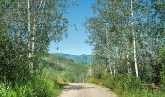 1833 W Buttermilk Rd, Aspen, CO 81611