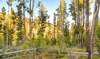 Harris Road lot 10 Tbd, Anaconda, MT 59711