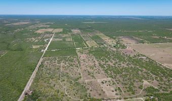 FM 735, Alice, TX 78332