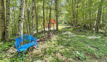 321 Grays Shadow Ln, Banner Elk, NC 28604