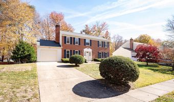 8113 ORVILLE St, Alexandria, VA 22309