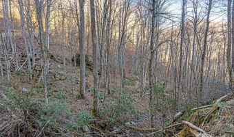 NC 209 Highway, Aurora, NC 28743