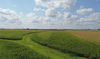 Marsh Avenue, Allison, IA 50602