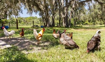 22519 ROBBINS Rd, Astatula, FL 34705