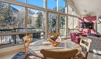990 E Hopkins Ave, Aspen, CO 81611
