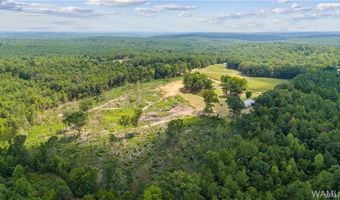 888 New Liberty Rd, Bankston, AL 35542