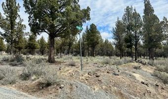 Mt Quail & Grizzley, Alturas, CA 96101