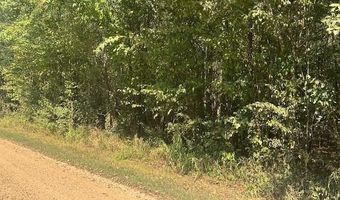 TOW BOAT Ln, Adamsville, TN 38310