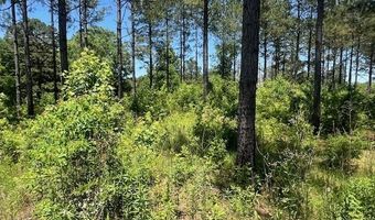 2423 A East Lincoln Rd, Brookhaven, MS 39601