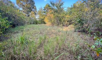 Tbd Highway 3, Antlers, OK 74523