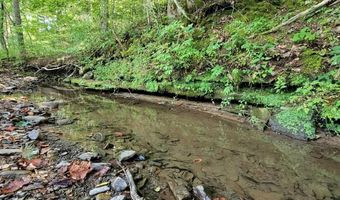 8079 Wayside Creamery Rd, Alderson, WV 24910