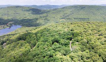 Timberland Drive, Andes, NY 13731