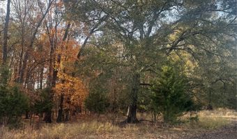 FM 44, Annona, TX 75550
