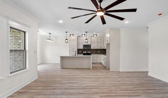 517 Madeleine Cir, Austin, AR 72007
