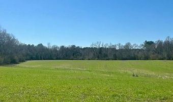 0 Tervin Mill Rd, Andalusia, AL 36421