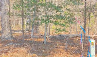 28 14 Chalk Level Rd Lot 1, Alberta, VA 23821
