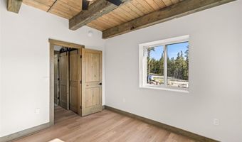 141 N Aspen St, Alma, CO 80420