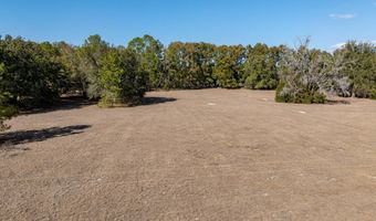 County Road 236 lot 2, Bell, FL 32619