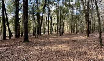 County Road 72, Ariton, AL 36311