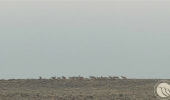 194 N Dry Creek Rd, Bridger, MT 59014