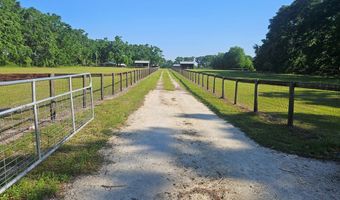 4740 10th St, Bell, FL 32619