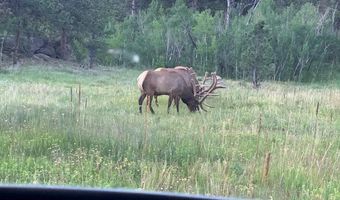 County Road 59, Allenspark, CO 80510
