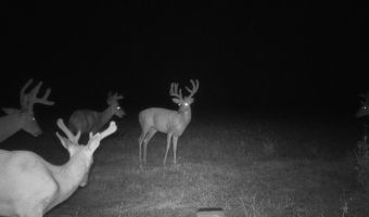 607 Hwy 69, Arma, KS 66712