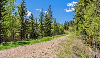 119 WOODS Dr, Breckenridge, CO 80424