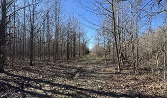 6075 Curtis Rd, Batesville, MS 38606