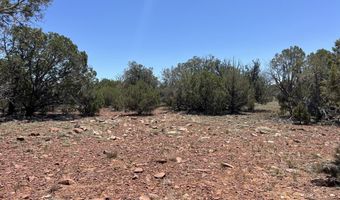 61 Norma Sw4 Rd, Ash Fork, AZ 86320