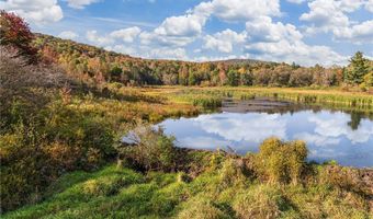 0 Woodland Hills Rd, Andes, NY 13731