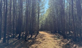MOUNTAIN CUT RD lot D, Appomattox, VA 24522