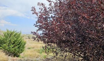 1981 Blizzard Mt Rd, Arco, ID 83213