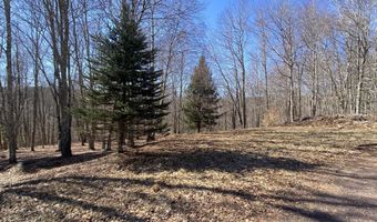 L22.2 Alder Pond Road, Andes, NY 13740
