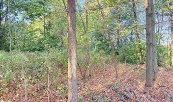COUNTY ROAD Z lot 4, Aniwa, WI 54408