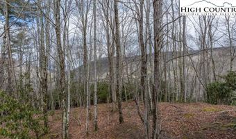 107 Chicory Ln, Beech Mountain, NC 28604