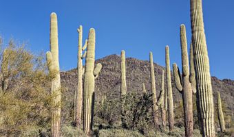 5949 E Hidden Valley Dr 9, Cave Creek, AZ 85331