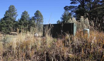 Valley Road lot 41, Angel Fire, NM 87710