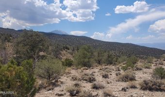 T5N R28E S5 Lucky Boy Pass Road, Hawthorne, NV 89415