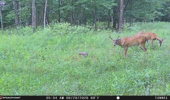 1271 A Tunnel Ridge Rd, Argillite, KY 41121