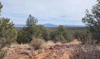 S2 Lot 92 Off Indian Springs, Ash Fork, AZ 86320