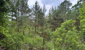 Sardis Lake Drive, Batesville, MS 38655